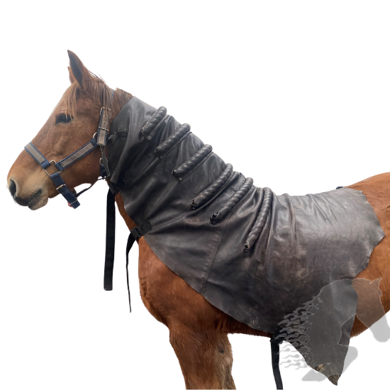 Mare Neck Cover